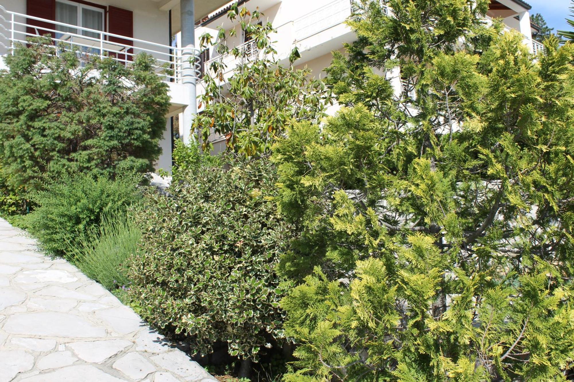Apartments Vila Marica Rabac Ngoại thất bức ảnh