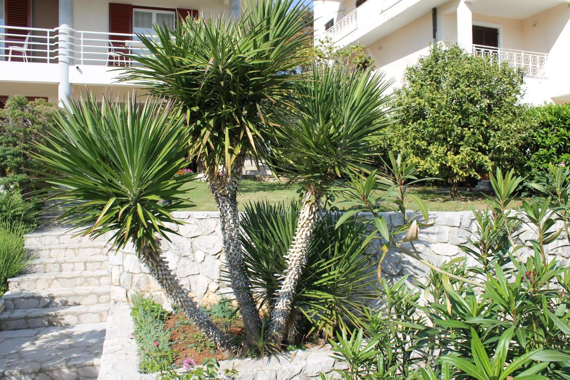 Apartments Vila Marica Rabac Ngoại thất bức ảnh