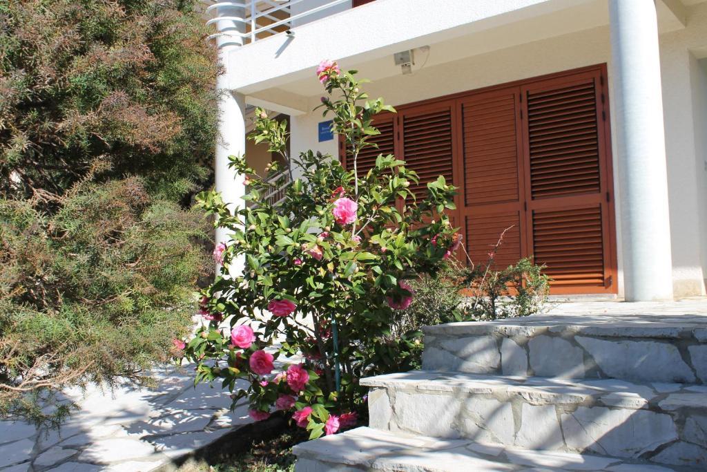Apartments Vila Marica Rabac Ngoại thất bức ảnh